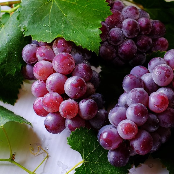 Grapes